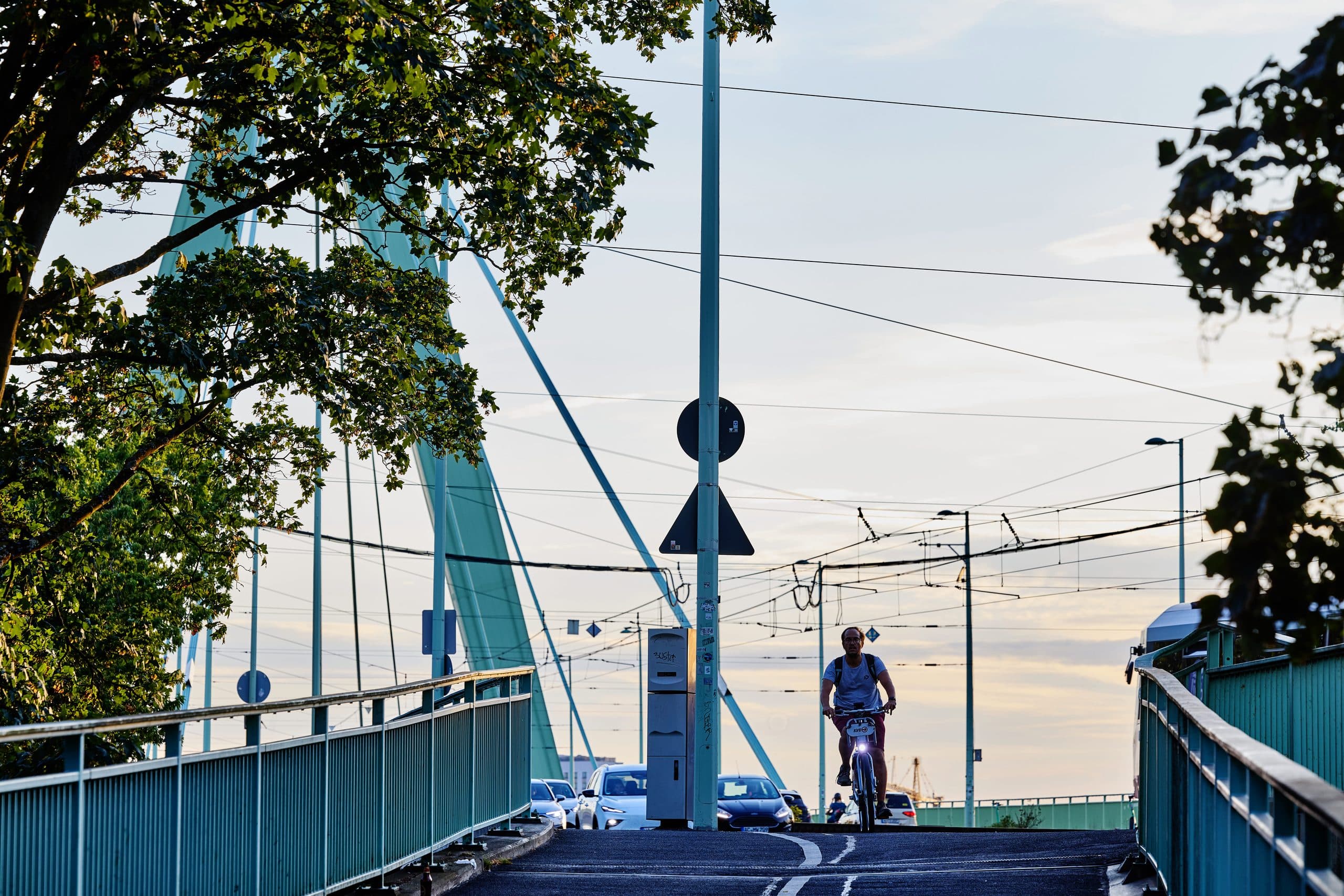 Radfahrer auf der Deutzer Brücke in der Abendsonne mit Blick zum Rhein